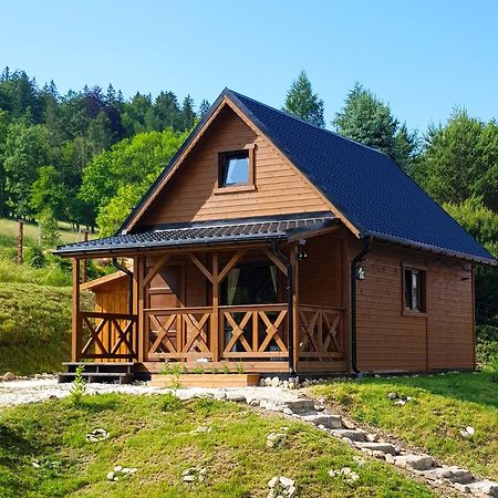 Chata Rafusa pod Śnieżnikiem - domek 6-osobowy Stronie Śląskie Zewnętrze zdjęcie